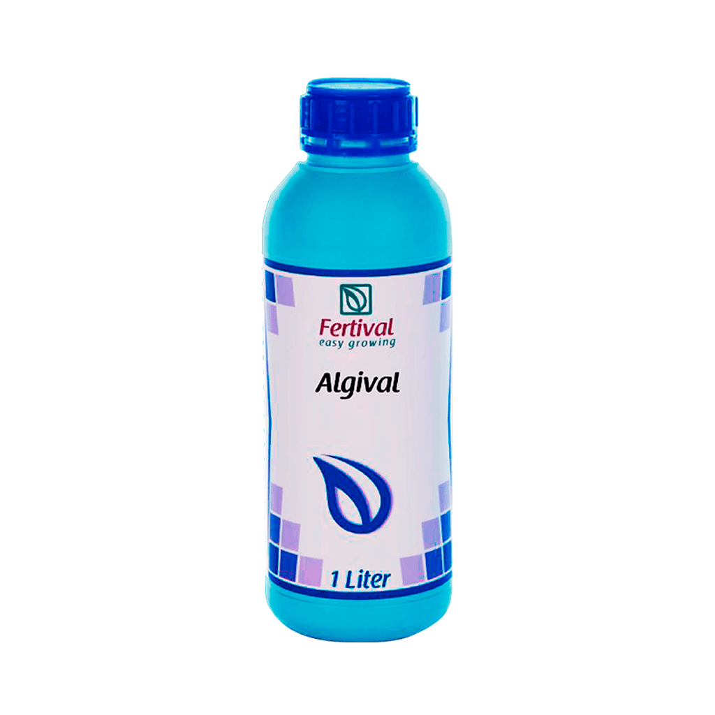 Algival