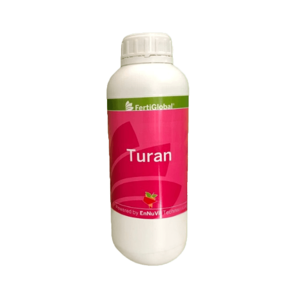 Turan