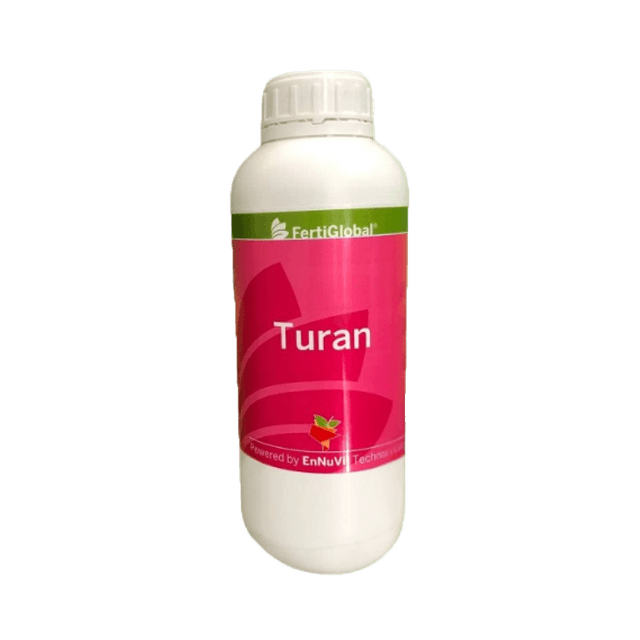 Turan