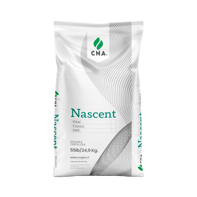 Nascent Crece
